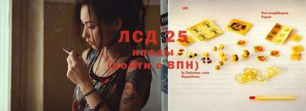 эйфоретик Аркадак