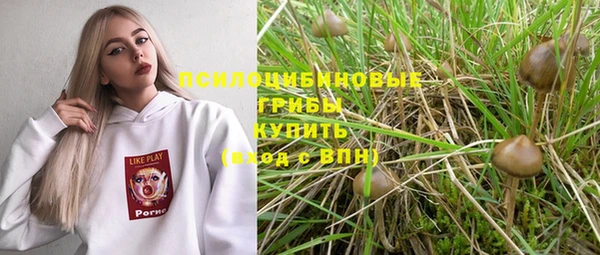 ешки Армянск