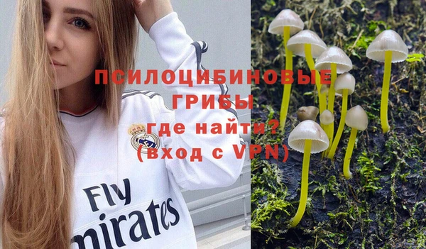 ешки Армянск