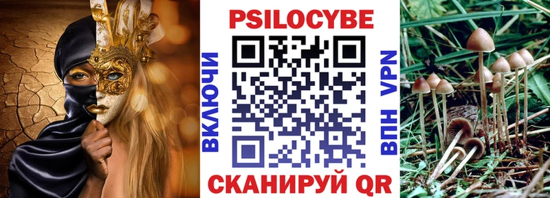 Псилоцибиновые грибы Magic Shrooms  Саров 